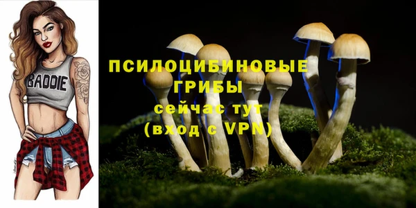 MDMA Premium VHQ Богородицк